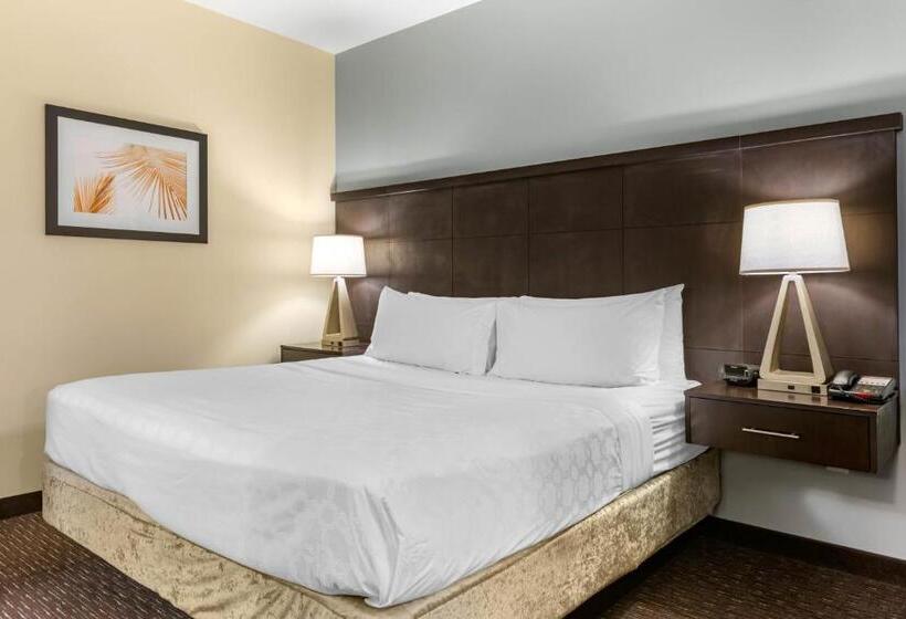 Студио Стандарт Кровать Кинг, Staybridge Suites St. Petersburg Fl, An Ihg
