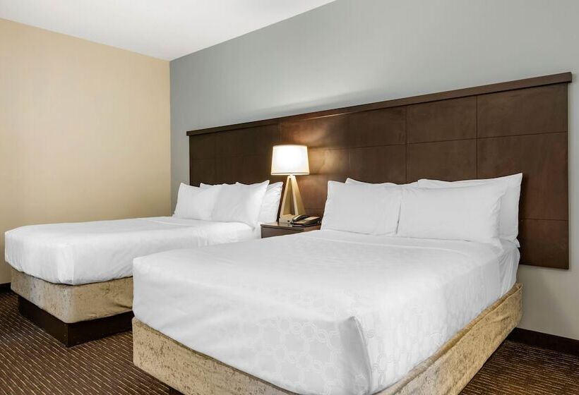 Люкс, Staybridge Suites St. Petersburg Fl, An Ihg