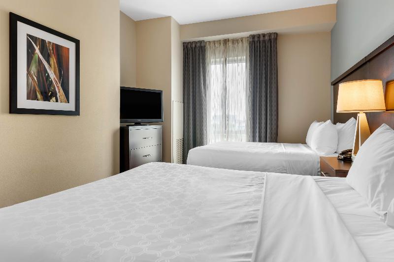 Люкс, Staybridge Suites St. Petersburg Fl, An Ihg