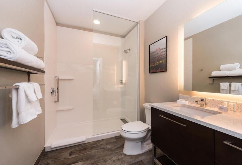 Люкс 2 Спальни, Towneplace Suites By Marriott Albuquerque North