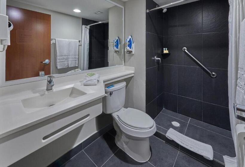 Номер Стандарт, City Express By Marriott Irapuato Norte