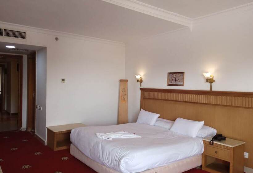 Superior Single Room, Regency Pyramids