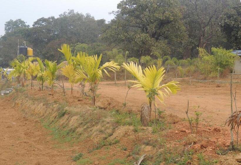四人标准间, Room In Farmhouse   Dandeli   Aura Jungle Stay