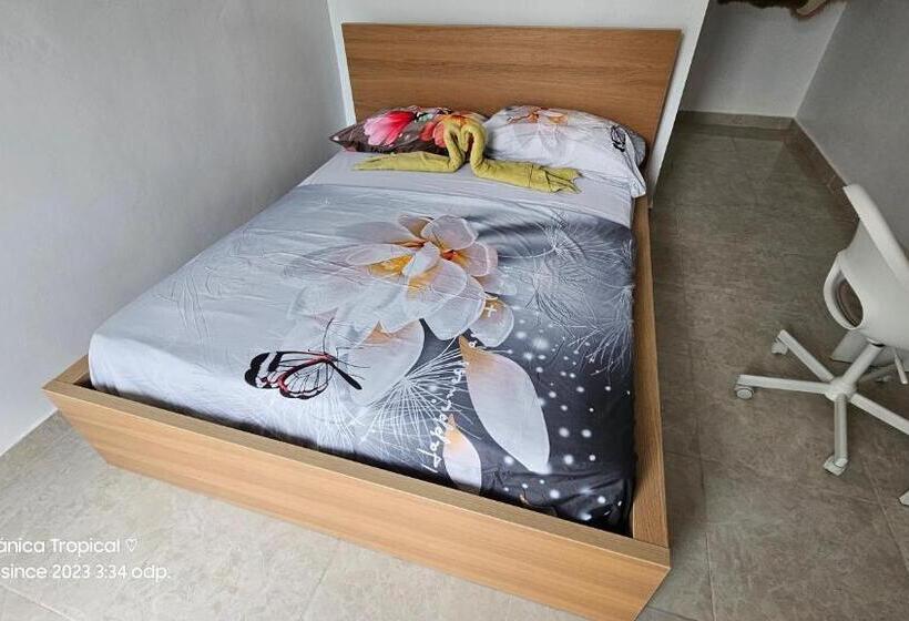 Номер Deluxe, Unique And Quiet Apartments La Botánica Tropical