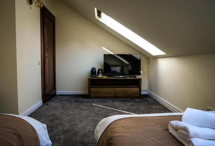 غرفة قياسية ذات إطلالة, The Nest Baia Mare
