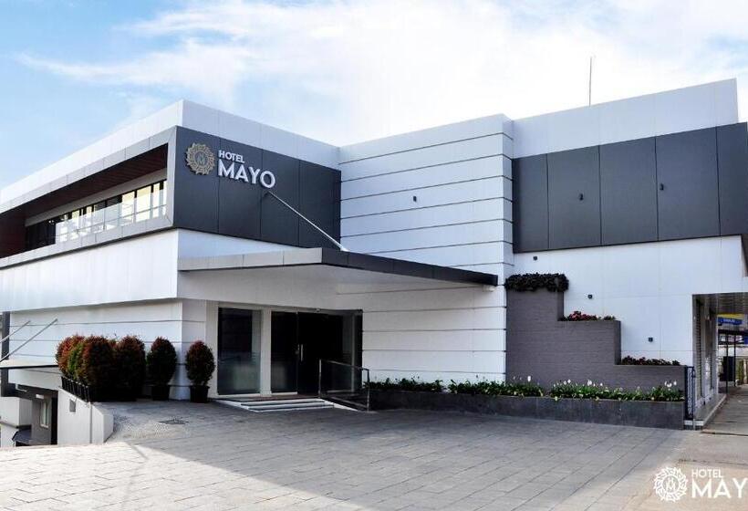 스위트, Mayo