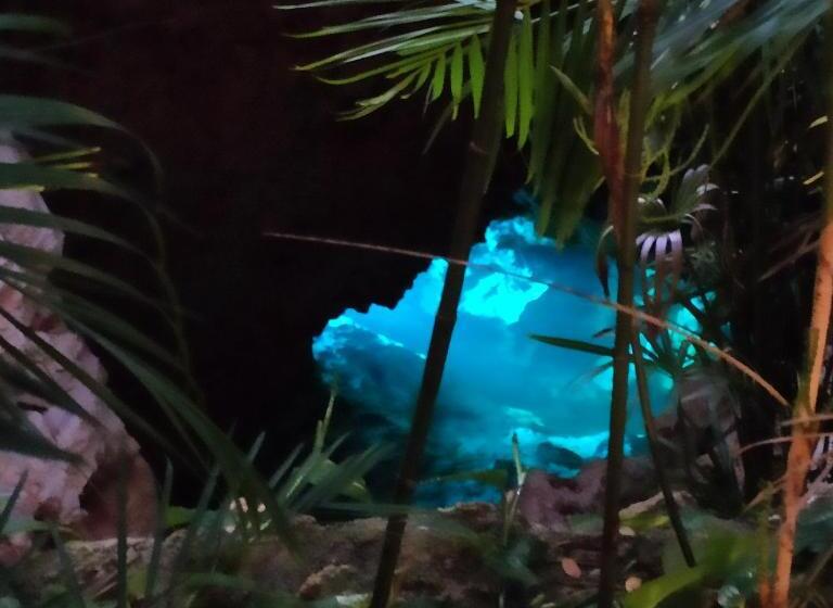 اتاق لوکس, Azcapri Villa Boutique & Spa
