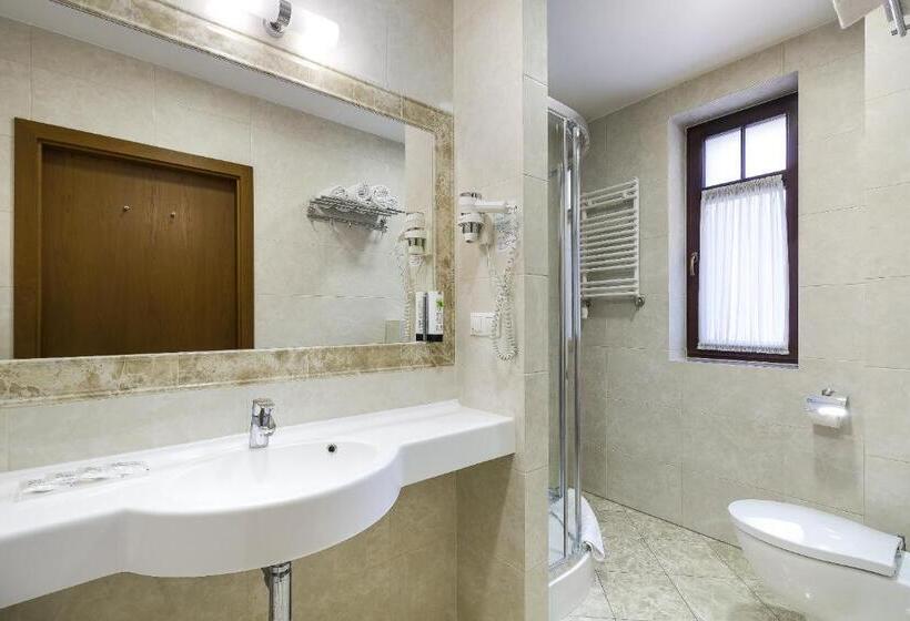 اتاق استاندارد یک نفره, Bukowy Park Hotel Medical Spa