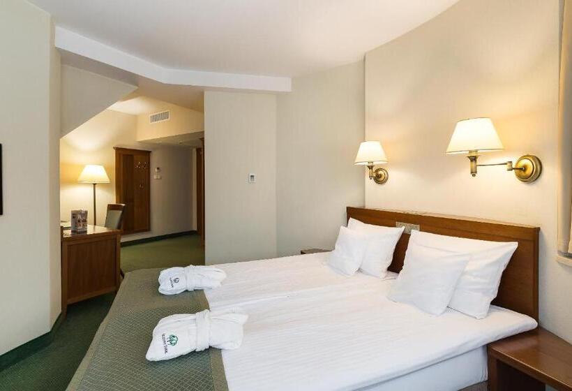 اتاق استاندارد, Bukowy Park Hotel Medical Spa