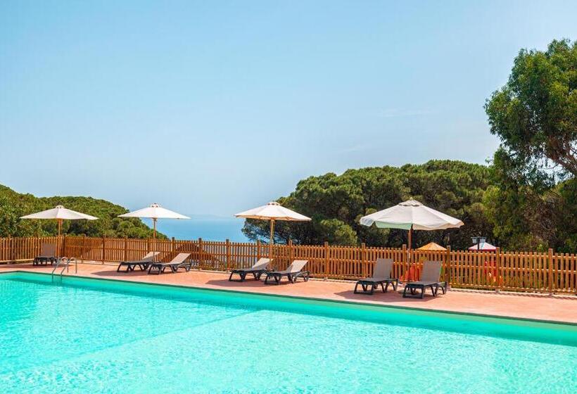 اتاق سوپریور, Tenuta Delle Ripalte