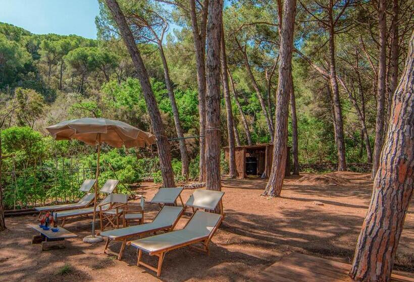 ویلای 1 خوابه, Tenuta Delle Ripalte