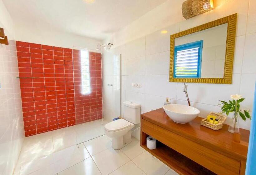 Стандартный Номер Кровать Кинг, Pousada Villa Tatuamunha