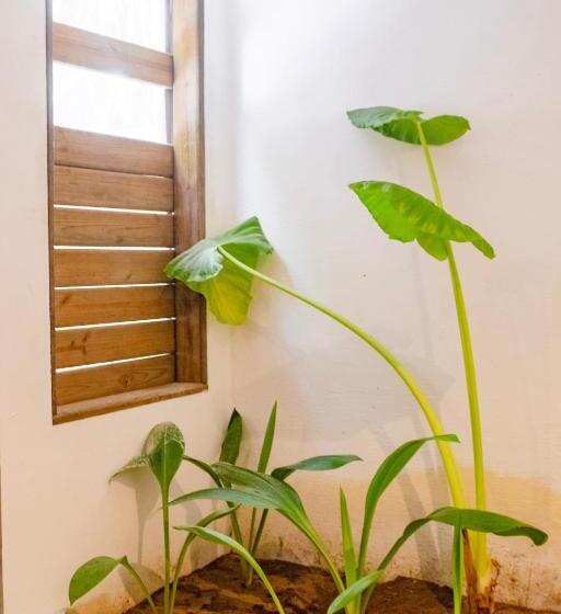 Family Suite, Pousada Villa Tatuamunha