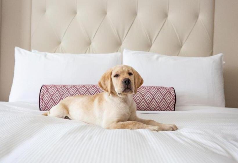 이그제큐티브 스위트 킹침대, Fairmont Washington Dc Gold Experience