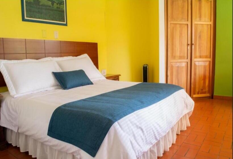 스탠다드 싱글 룸, Ecohotel La Casona Pereira