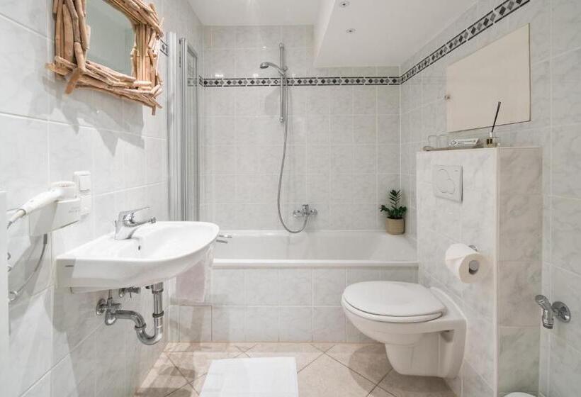 آپارتمان 1 خوابه با چشم‌انداز, Zur Schönen Aussicht Hotel Garni