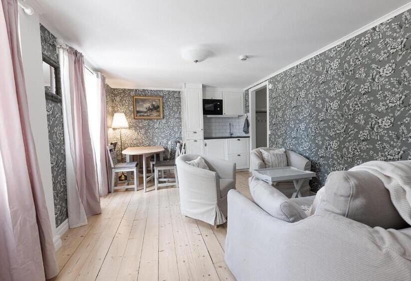 Estudio Estándar con Terraza, Smålandsgården