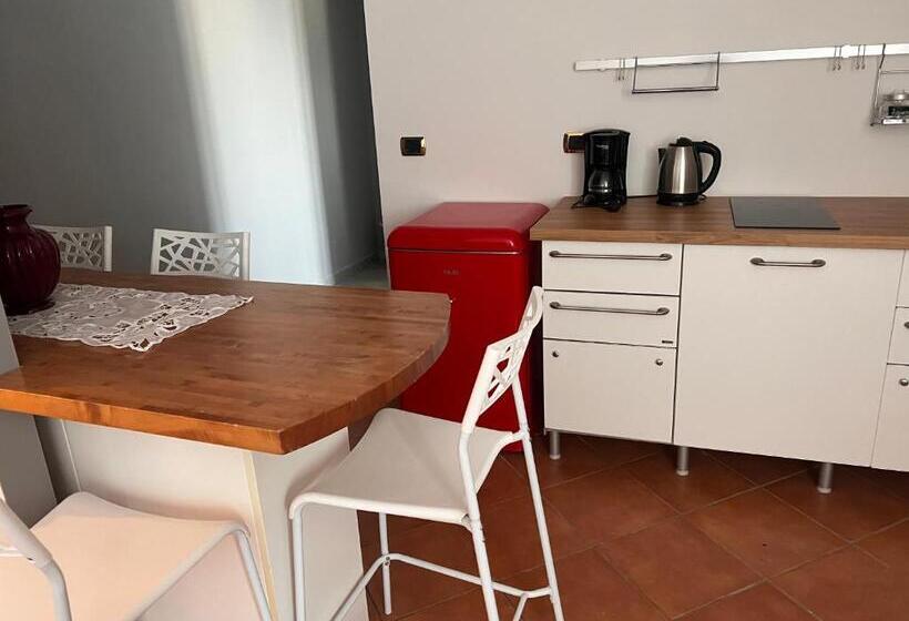 스탠다드 스튜디오, Casa Canarino