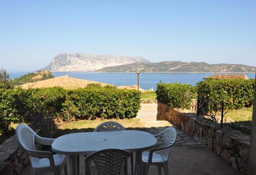 آپارتمان 1 خوابه با چشم‌انداز دریا, Villaggio Est A Capo Coda Cavallo San Teodoro
