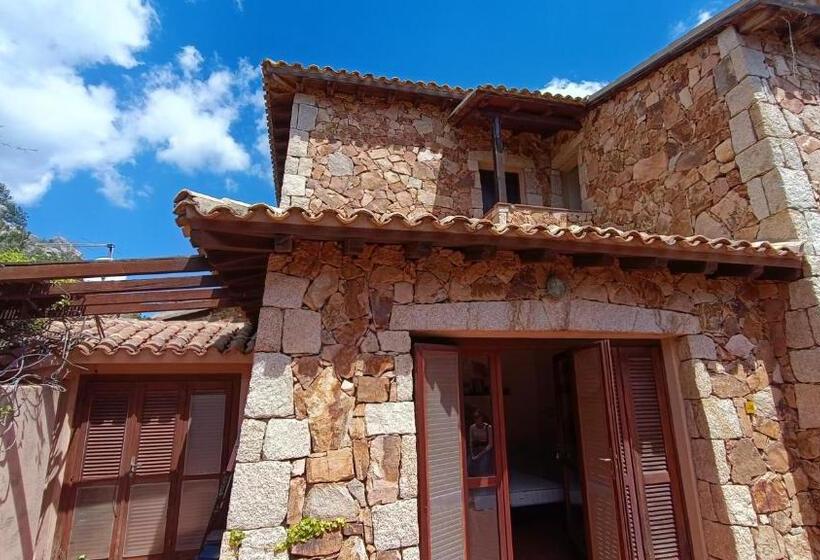 استودیو استاندارد با تراس, Villaggio Est A Capo Coda Cavallo San Teodoro