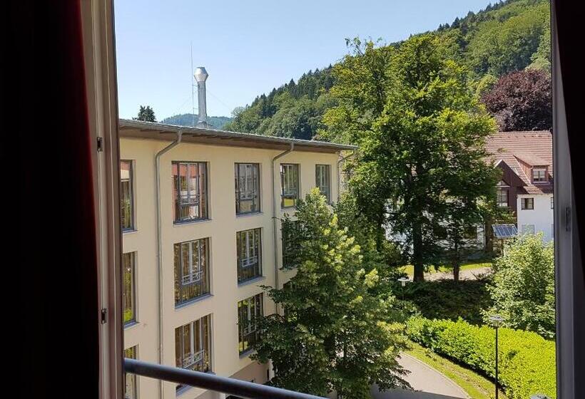 Номер Стандарт Индивидуальный, Nashira Kurpark Hotel  100 Prozent Barrierefrei