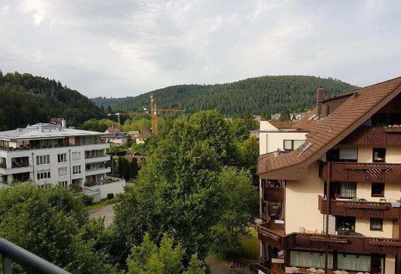 Номер Superior, Nashira Kurpark Hotel  100 Prozent Barrierefrei