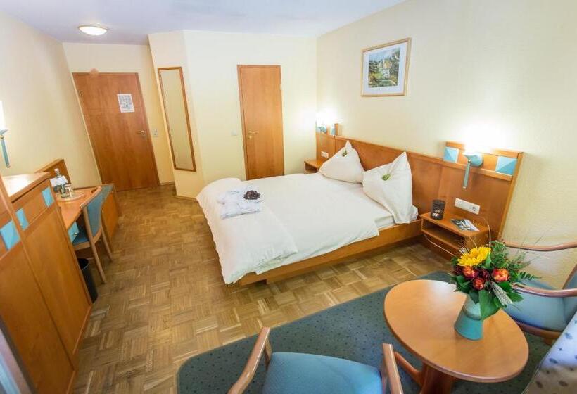Номер Superior Одноместный, Waldhotel Felschbachhof
