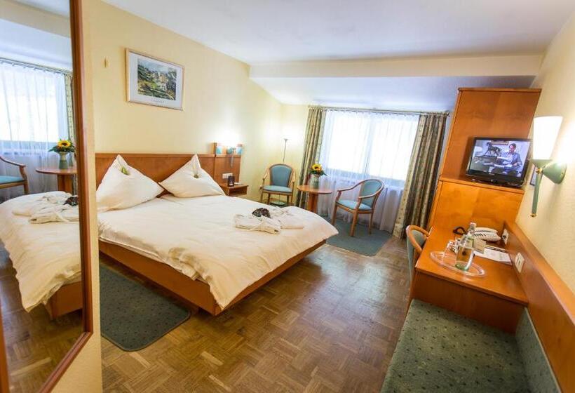 Номер Superior Одноместный, Waldhotel Felschbachhof