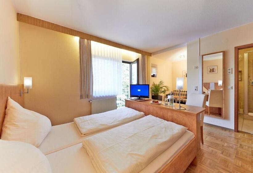 Номер Комфорт, Waldhotel Felschbachhof