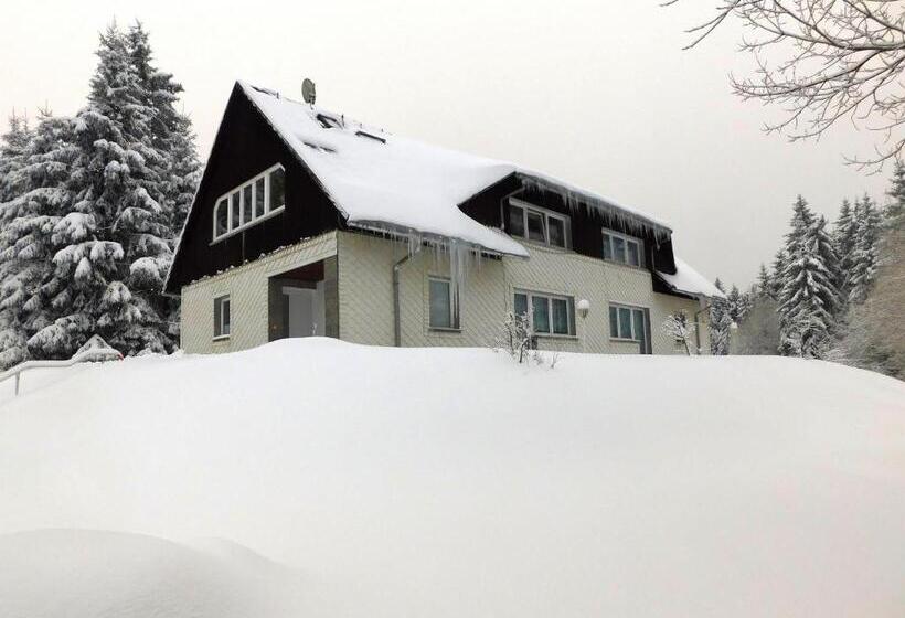Апартаменты 3 Спальни, Waldhotel Rennsteighöhe