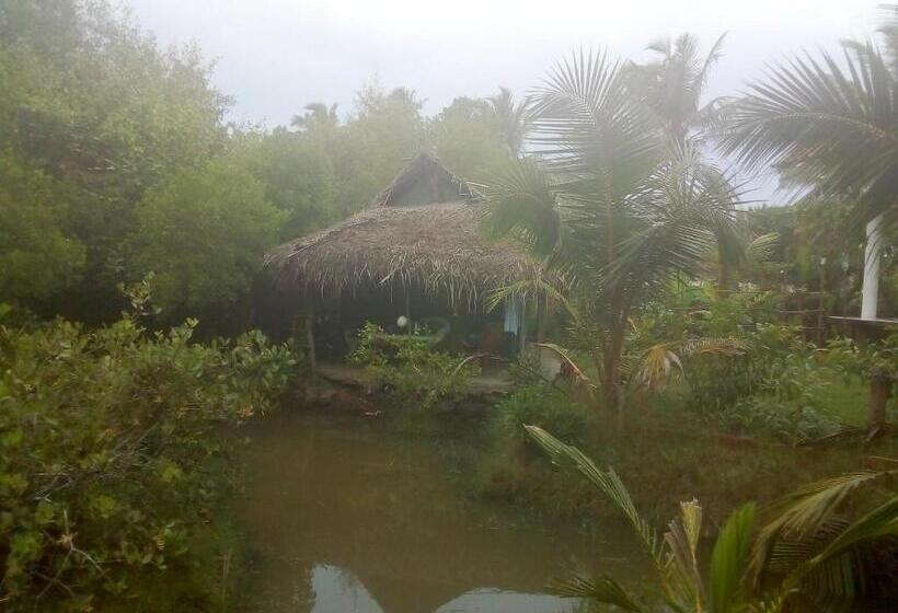 经济房, Mermaid Cabana And Tree Houses