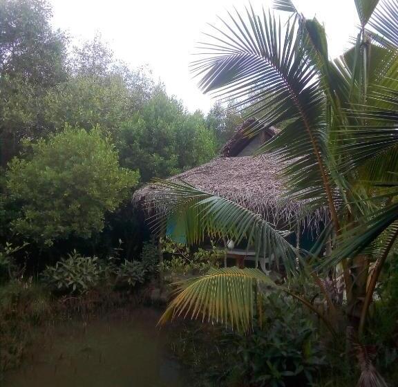 经济房, Mermaid Cabana And Tree Houses