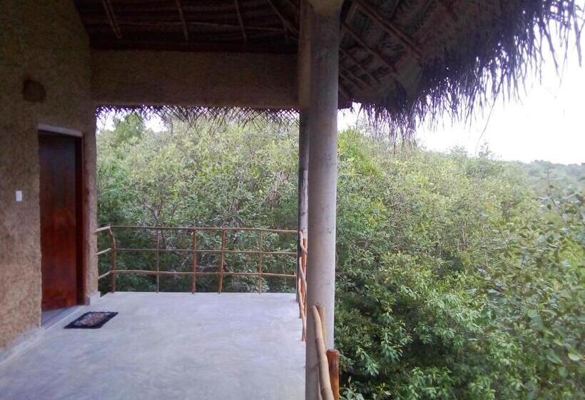 带阳台的豪华间, Mermaid Cabana And Tree Houses