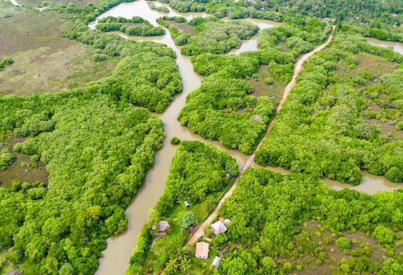 带阳台的豪华间, Mermaid Cabana And Tree Houses