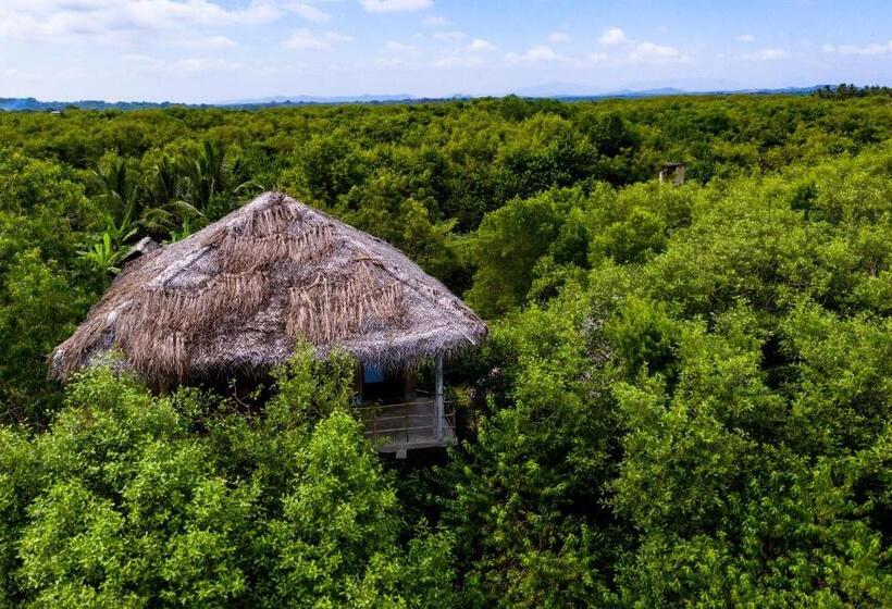带阳台的豪华间, Mermaid Cabana And Tree Houses