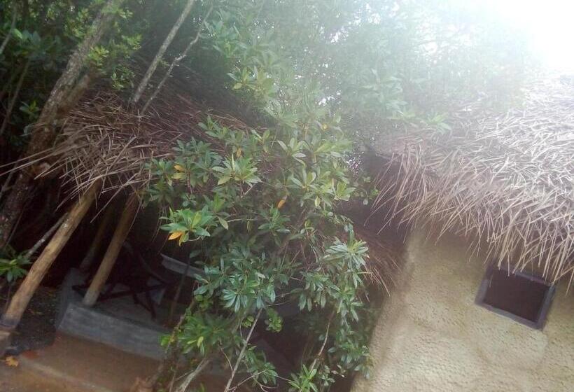 标准间, Mermaid Cabana And Tree Houses