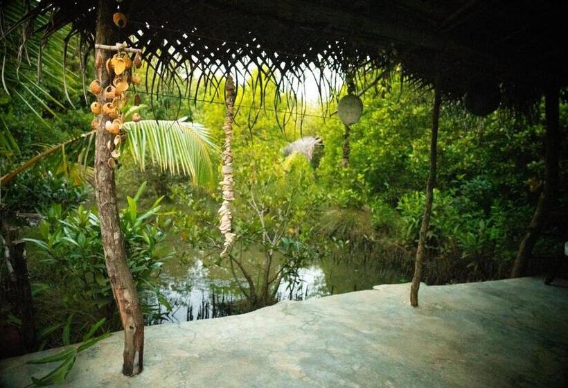 经济房, Mermaid Cabana And Tree Houses