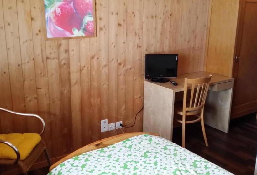 Номер Стандарт Индивидуальный, Restaurant Walliser Sonne