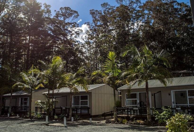 Студио Executive, Woodlands Motel