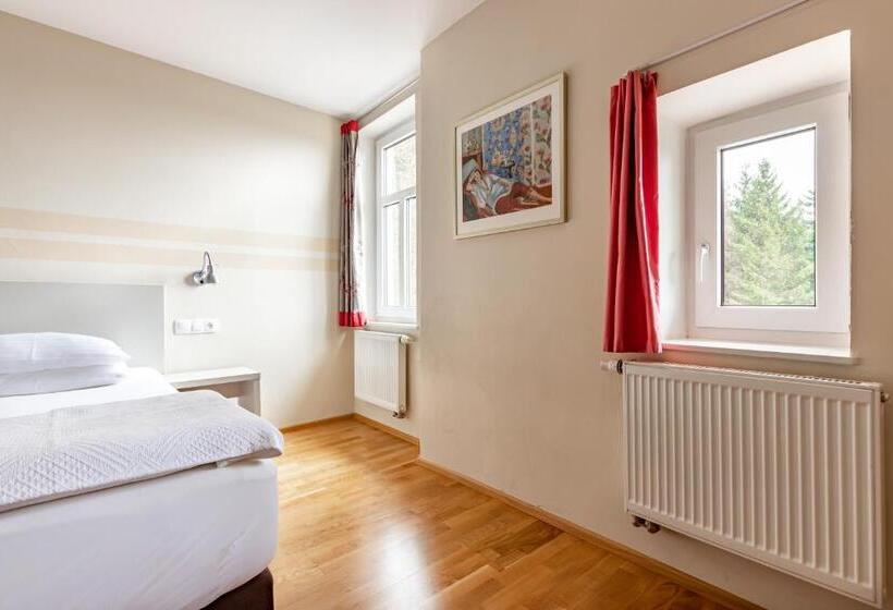 Номер Superior, Boutique Hotel Swisshouse