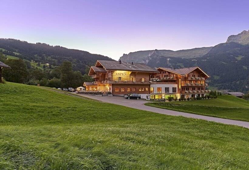 Номер Стандарт, Aspen Alpine Lifestyle