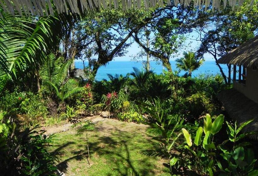 Номер Стандарт, Copa De Arbol Beach & Rainforest Resort