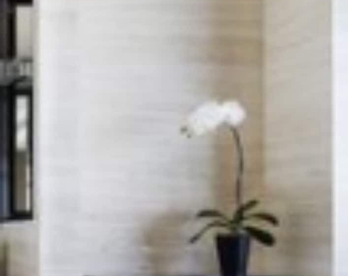 اتاق استاندارد, Grand Hyatt Shenyang