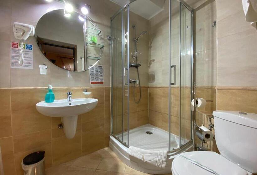 اتاق اکونومی, Pensiunea Crocus   Sauna & Billiard