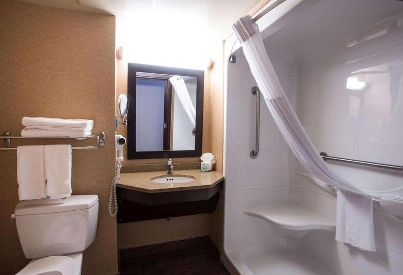 Номер Стандарт Адаптированный для Инвалидов, Quality Inn & Suites