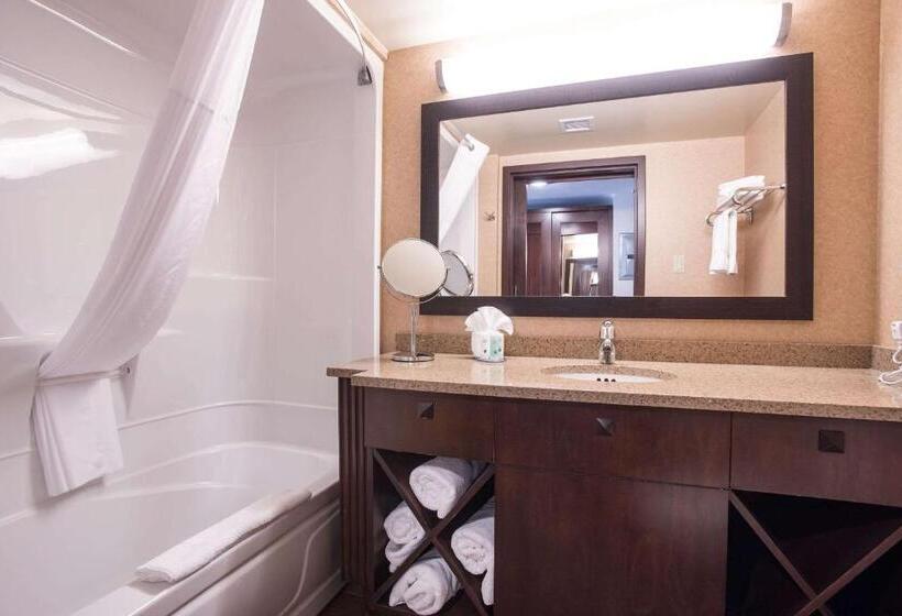 Стандартный Номер Кровать Кинг, Quality Inn & Suites