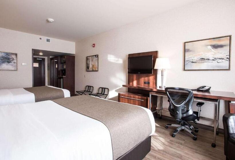 Номер Стандарт, Quality Inn & Suites