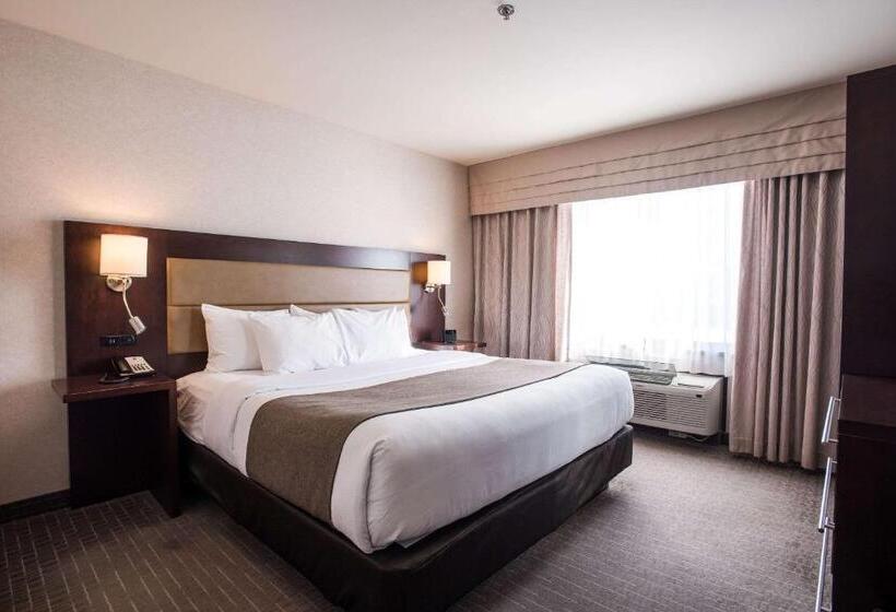 Люкс Кровать Кинг, Quality Inn & Suites