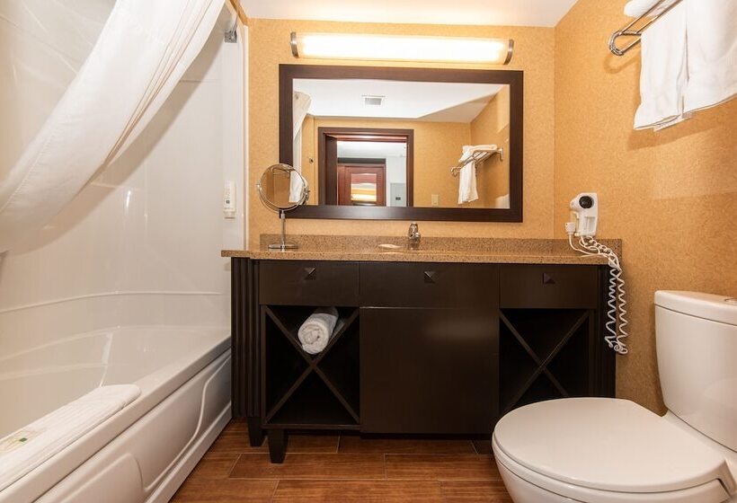 Люкс, Quality Inn & Suites