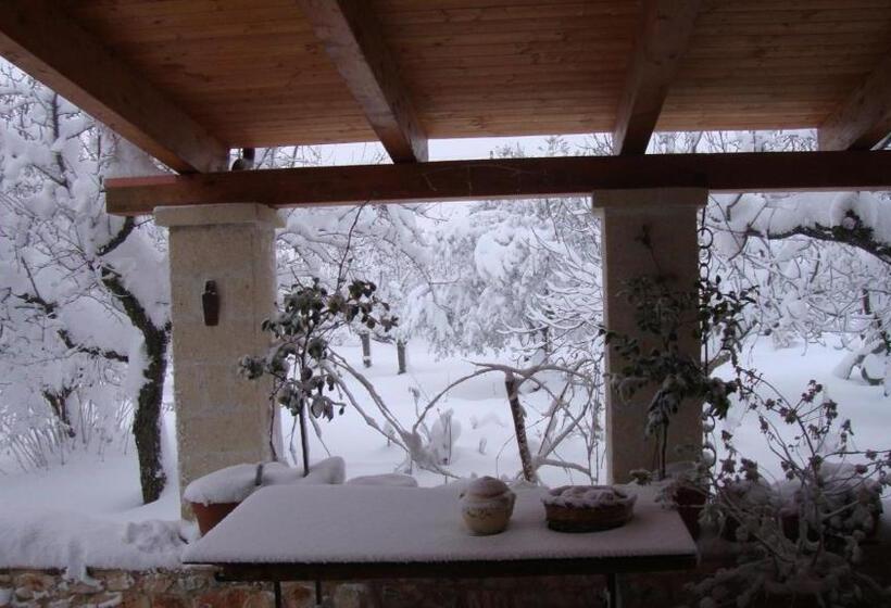 تختخواب در اتاق مشترک, Fontana Vecchia B&b